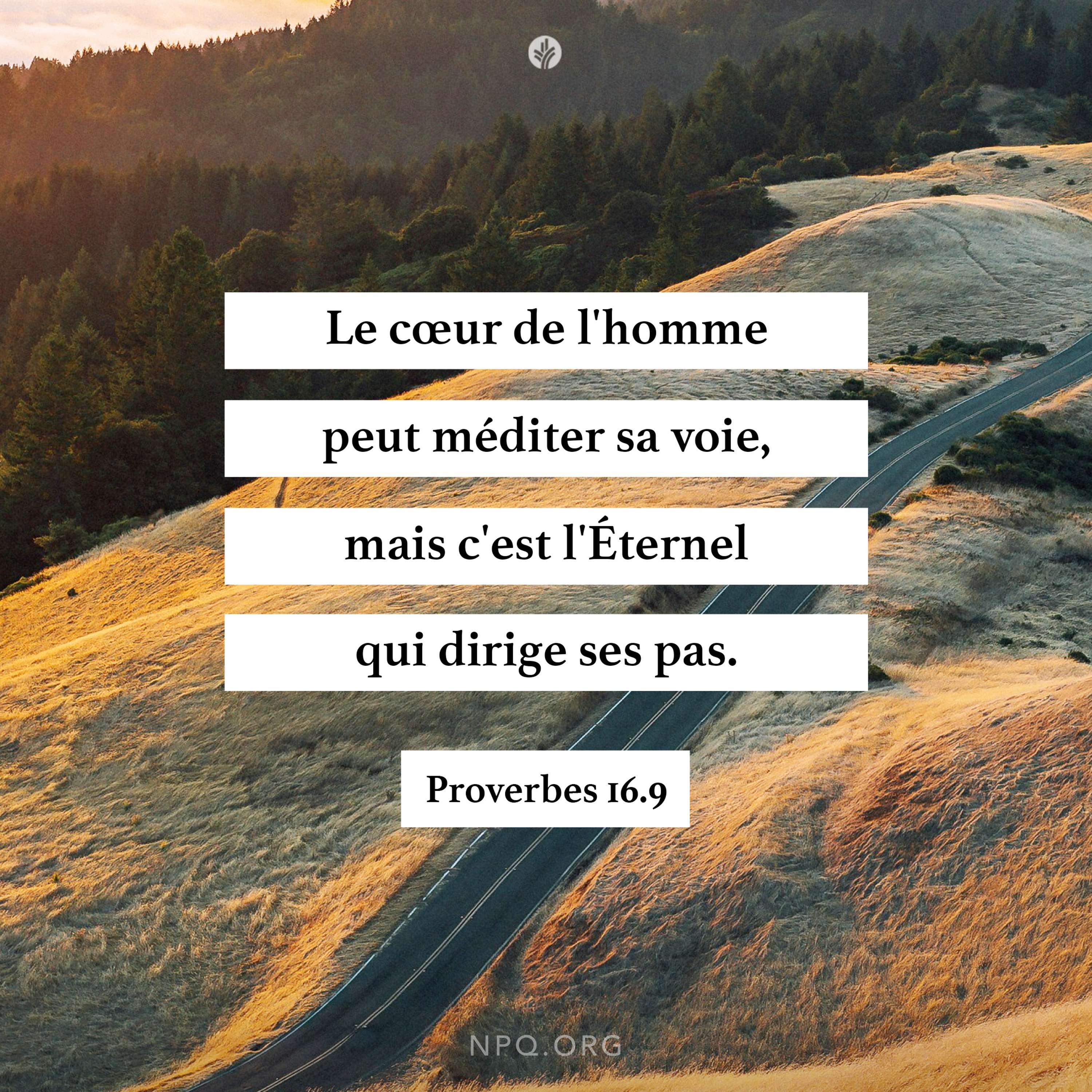 Notre Pain Quotidien podcast