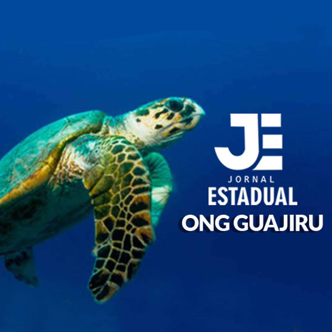 Matéria - ONG Guajiru