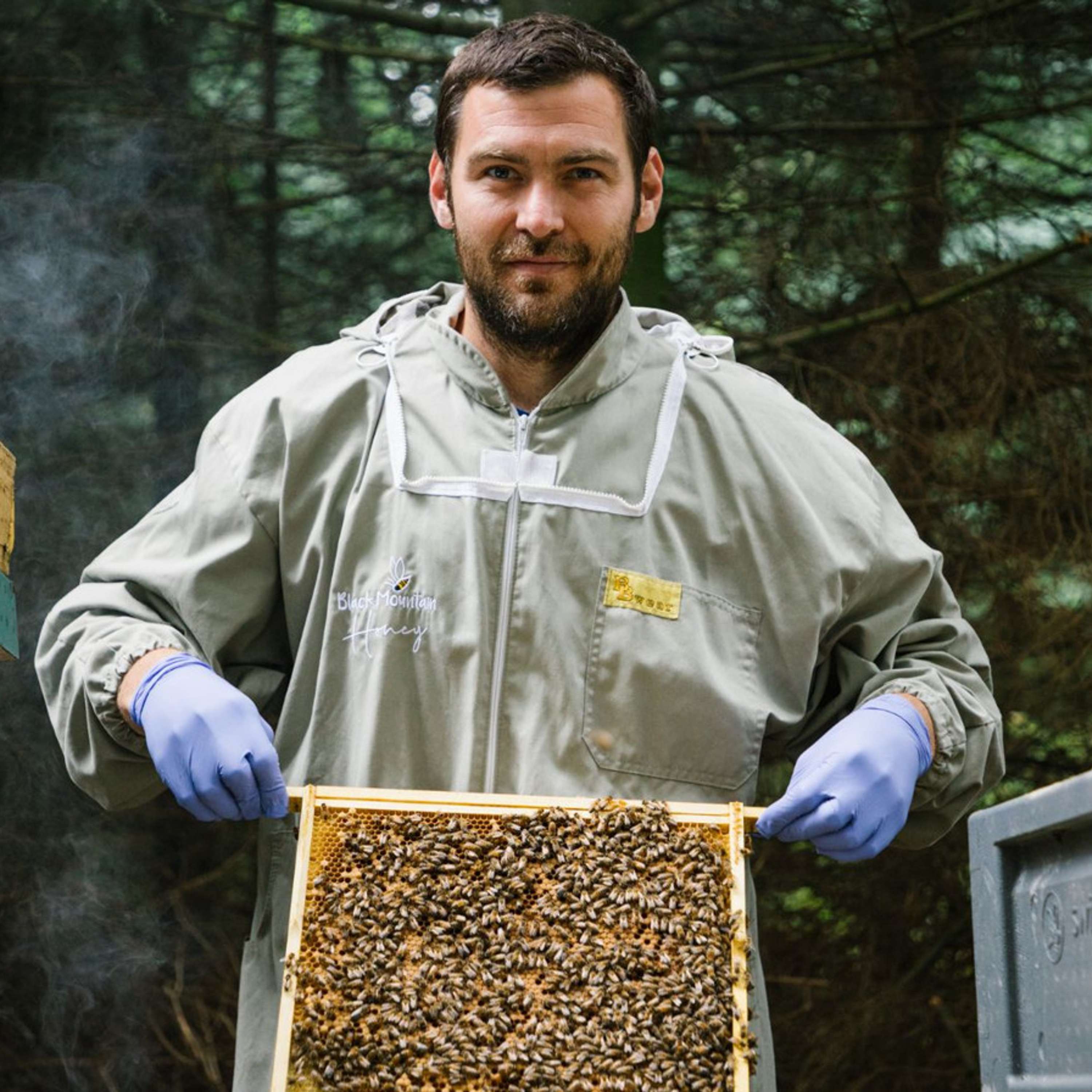 Breeding the Honeybee