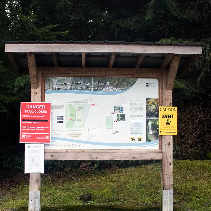 Ammonite Falls Regional Trail closed due to 'aggressive' cougar spotted in the area