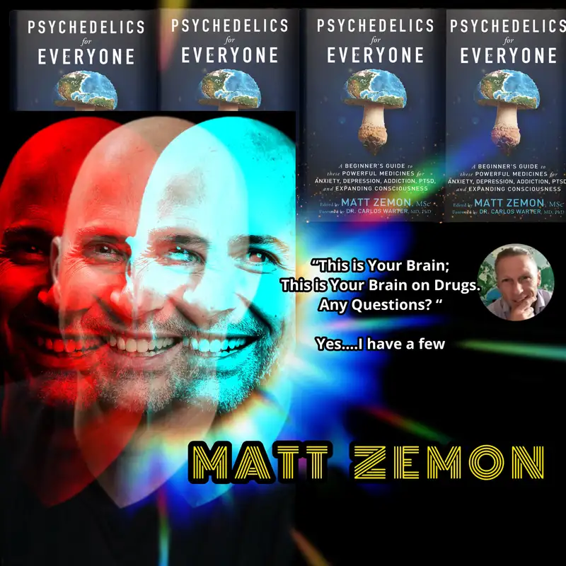 This is Your Brain; This is Your Brain on Drugs. Any Questions? - Matt Zemon