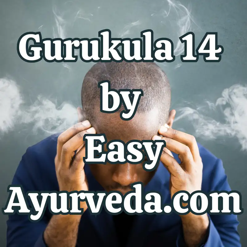 Gurukula 14 : Stress Management Made easy| 10 Principles of Stress Management| Job Stress Management