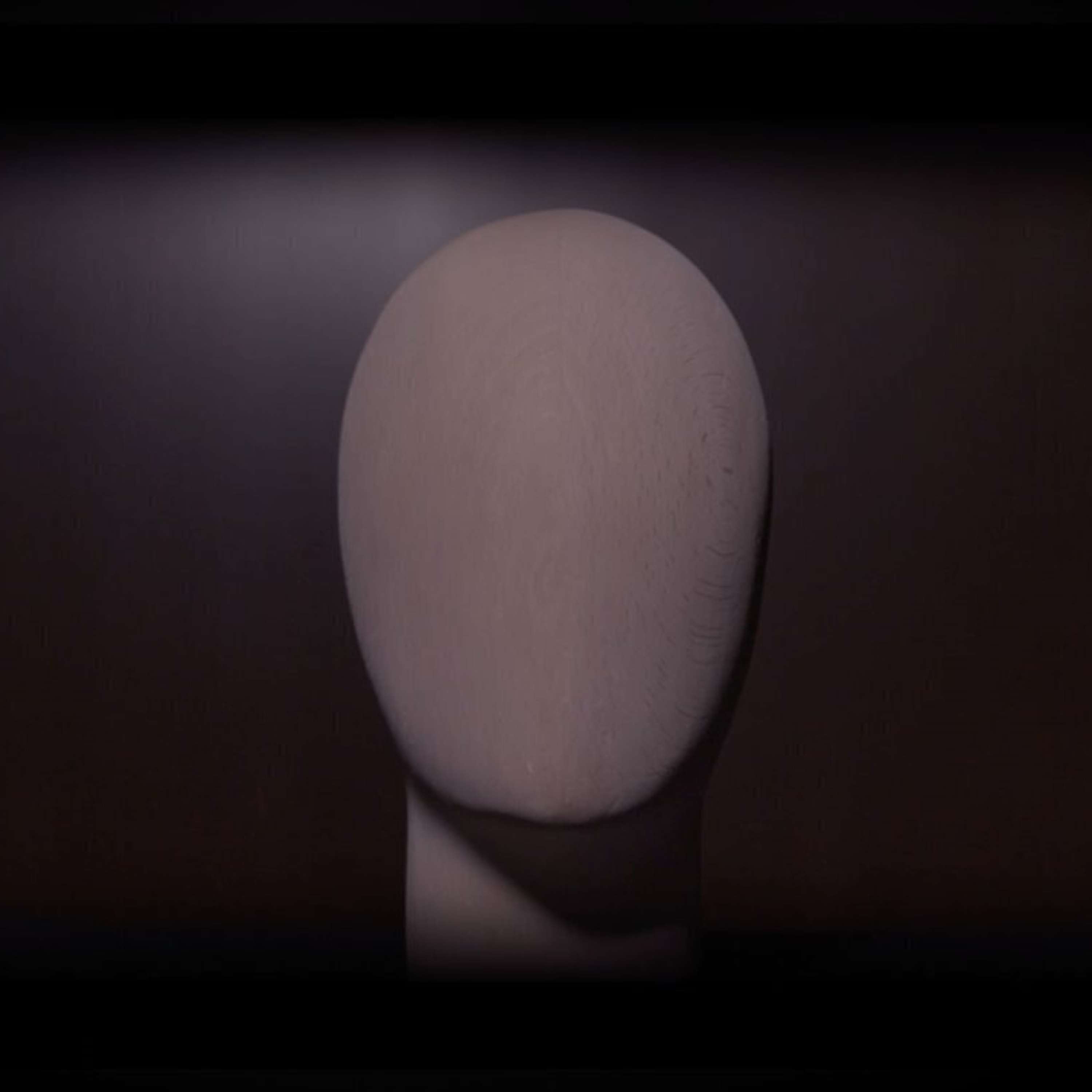 Acerca de la exposición digital Típicos retratos. Una historia del rostro en quince representaciones