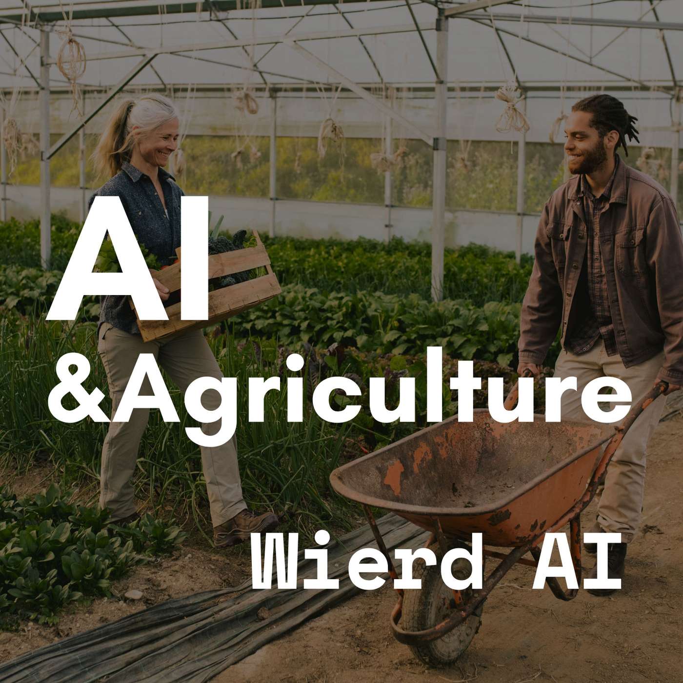 AI & Agriculture AI & Agriculture