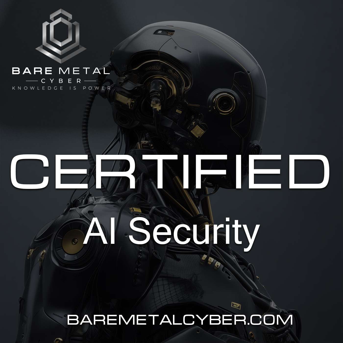 Certified - AI Security Audio Course
