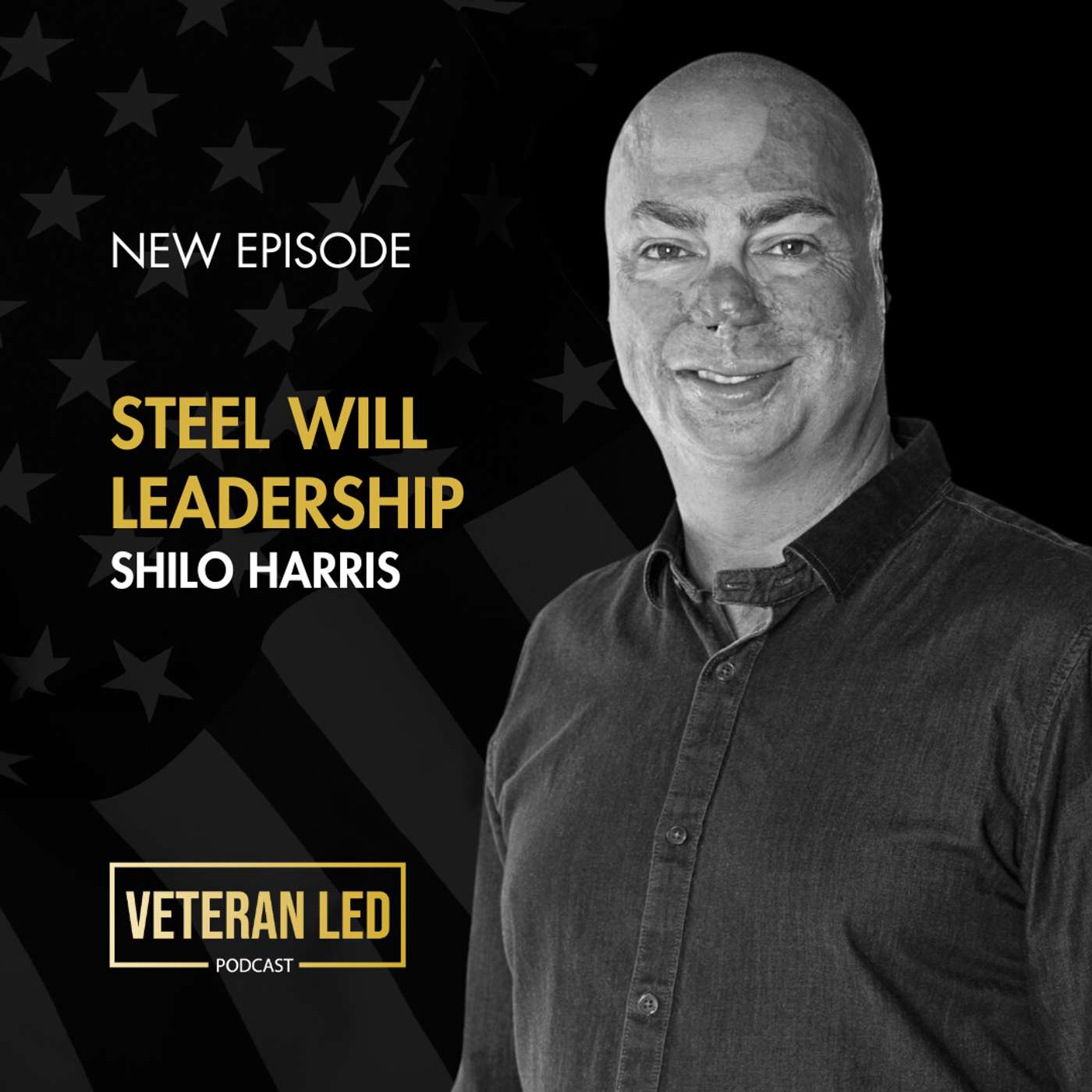 Veteran Led