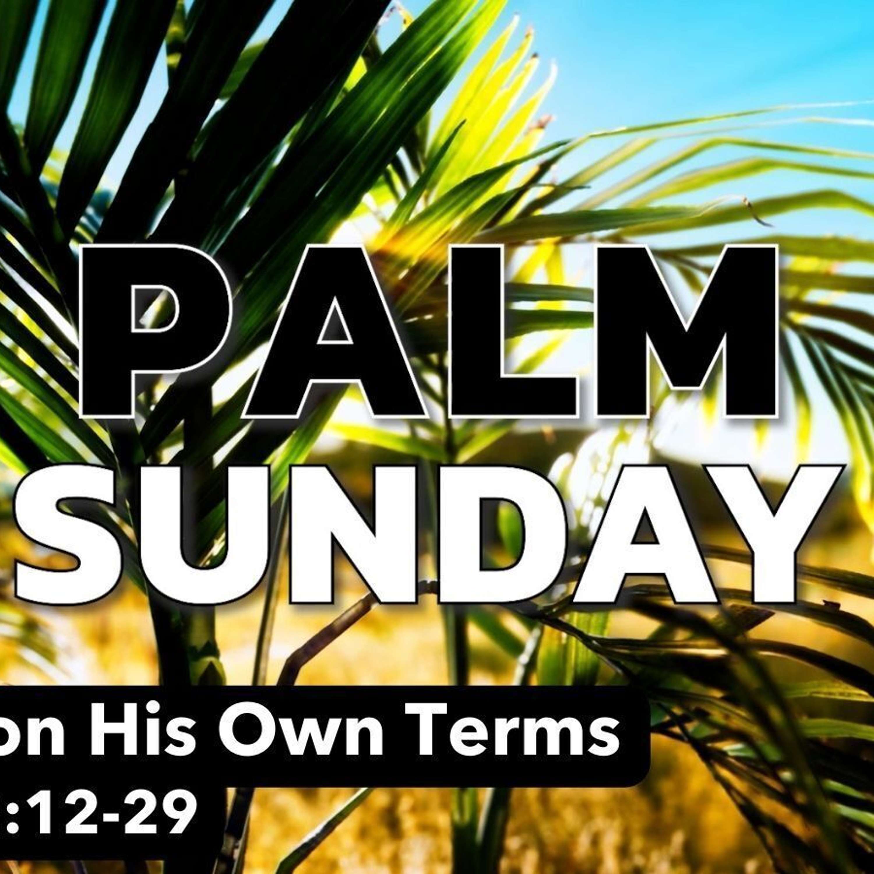 Jesus on His Own Terms