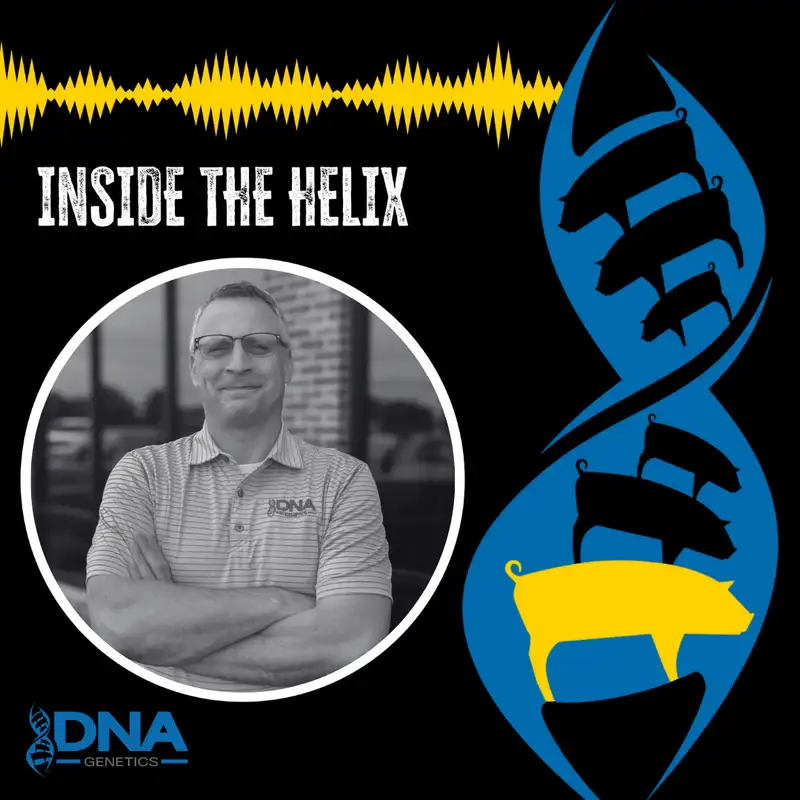 Precision Protein: Rethinking Amino Acid Sources for Modern Swine