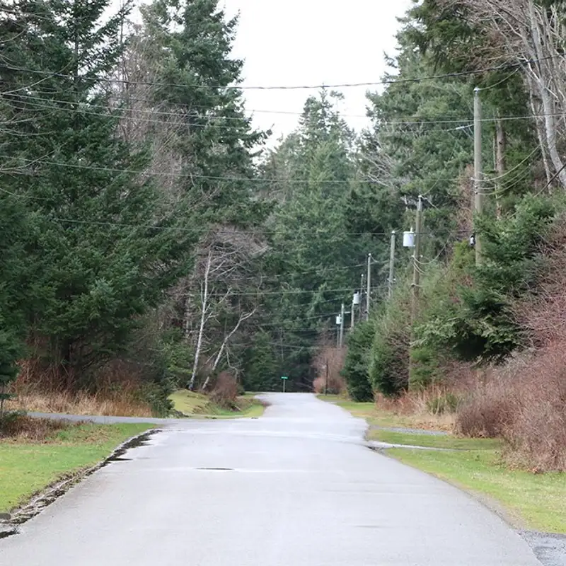 Comox Council hears about the potential impacts of Bill 44 on urban forests
