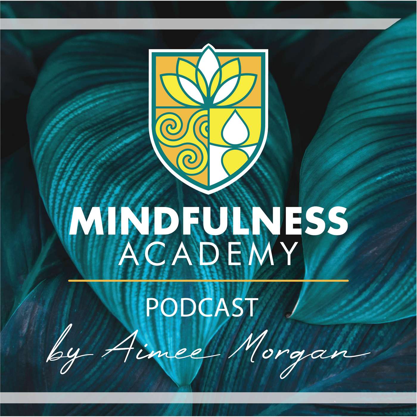 Mindfulness Academy Podcast