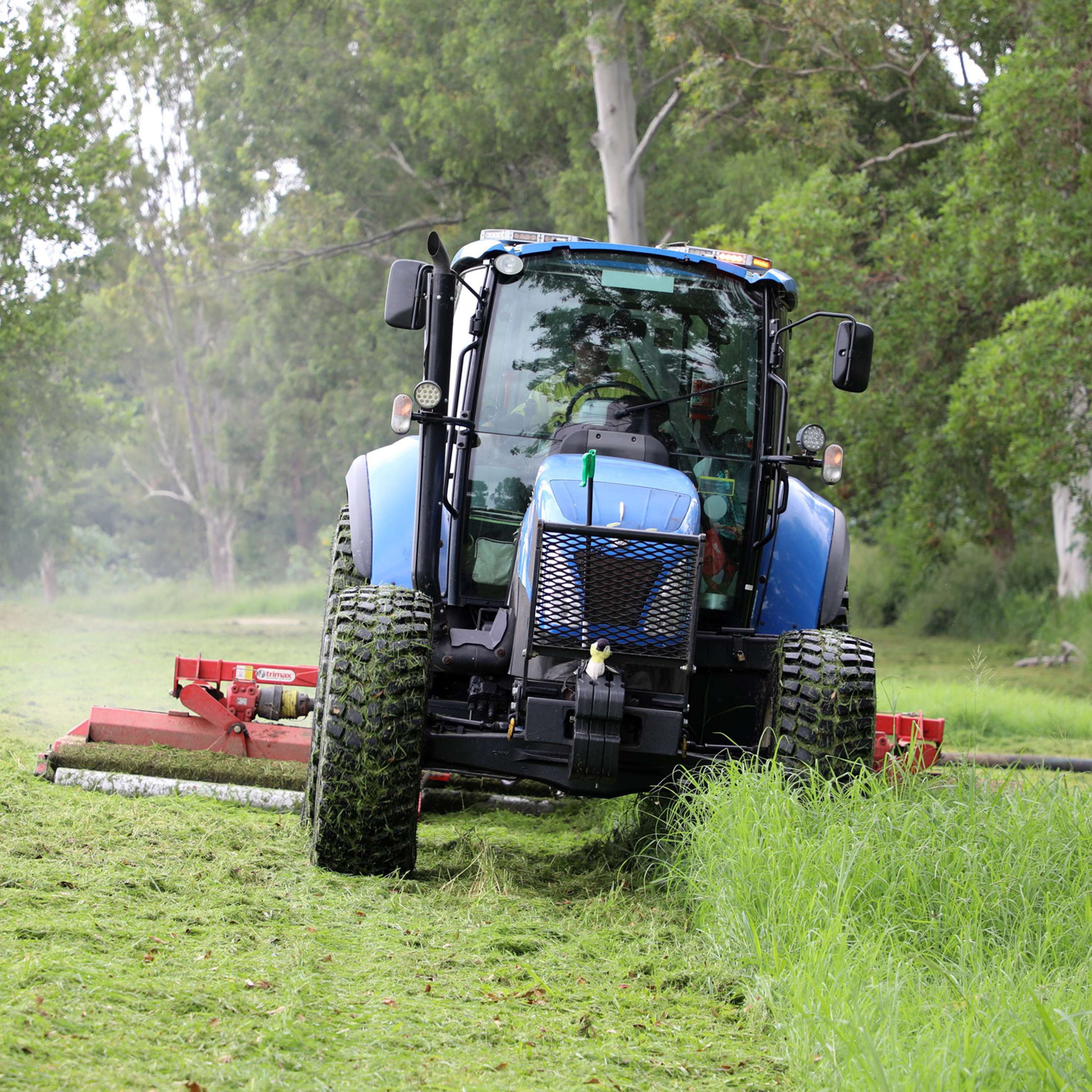 Health alert to find kids, council turbo charges mowing and work at Colleges Crossing to begin