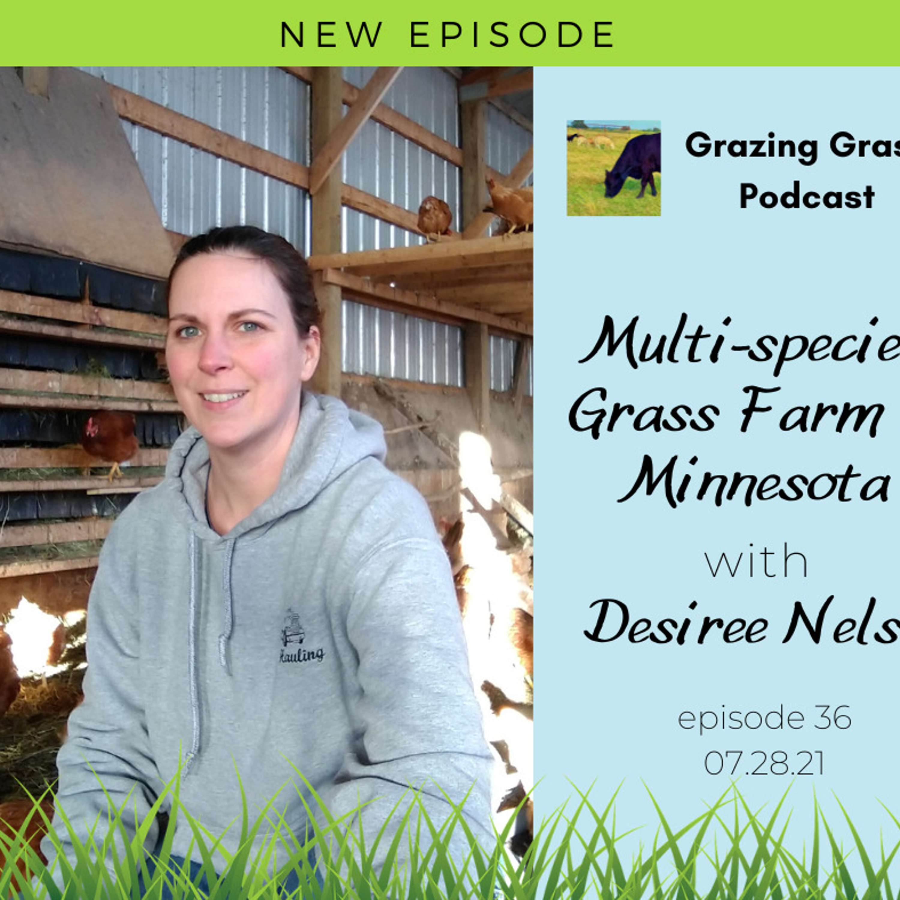 e36. Desiree Nelson - Multi-species Grass Farm in Minnesota