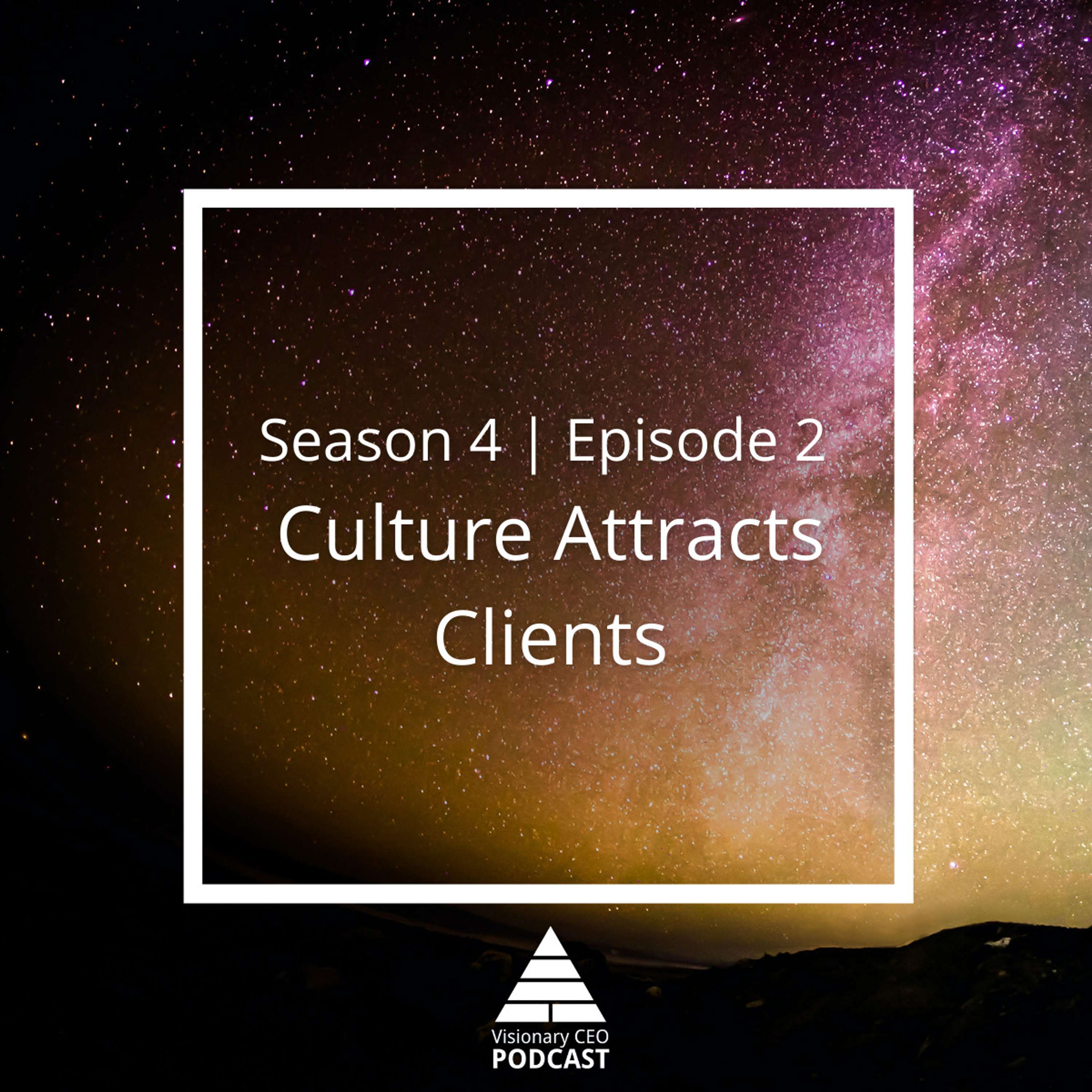 Visionary CEO Podcast