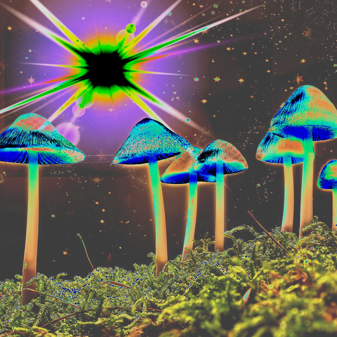 Philosopher Spotlight: Terrence McKenna