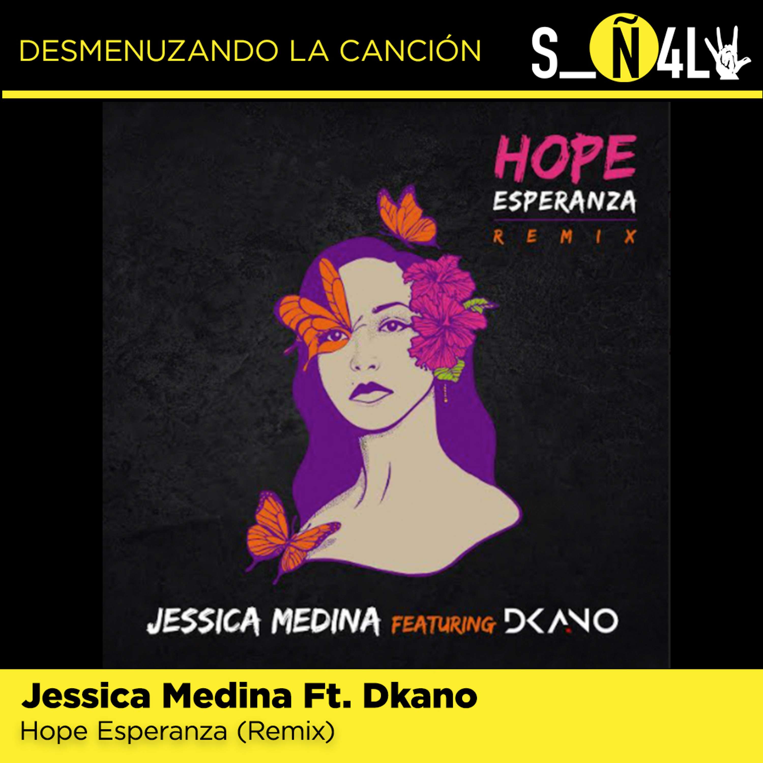 Señal VL: Desmenuzando la canción