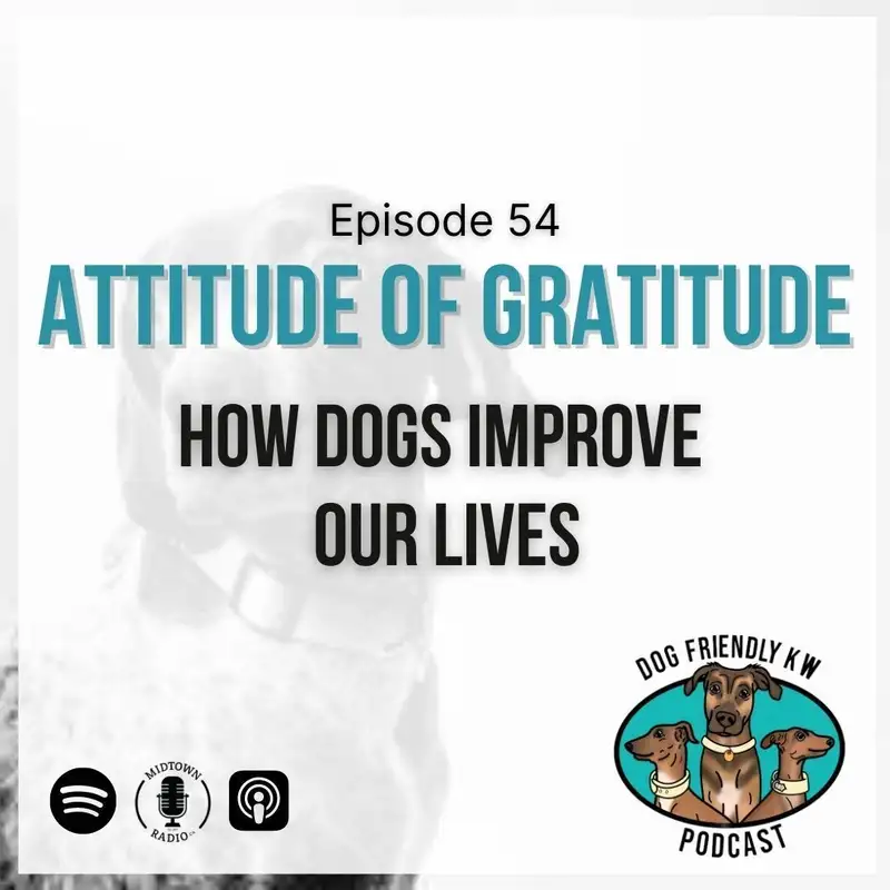 Full Episode: Building an ATTITUDE of GRATITUDE towards our pups!
