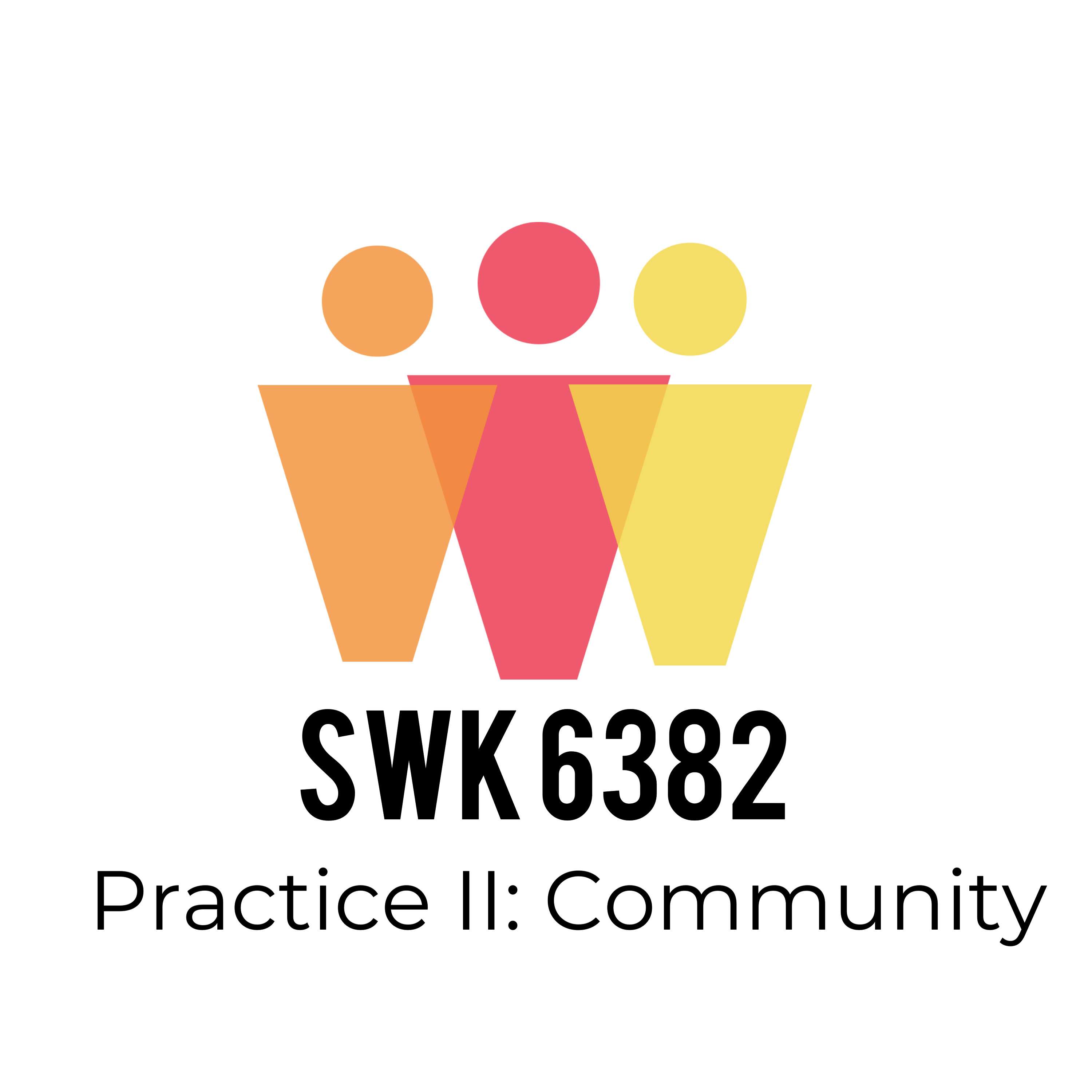 SWK6382 Practice II: Community
