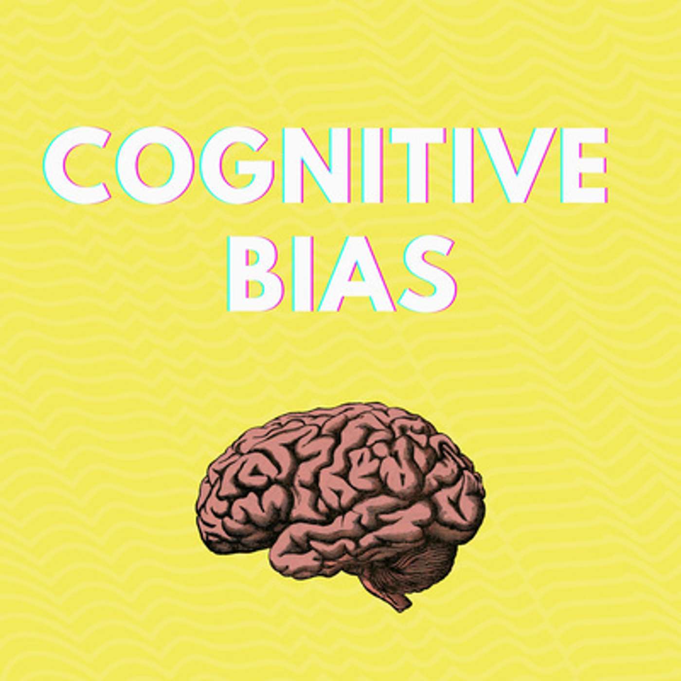 Cognitive Bias Bias