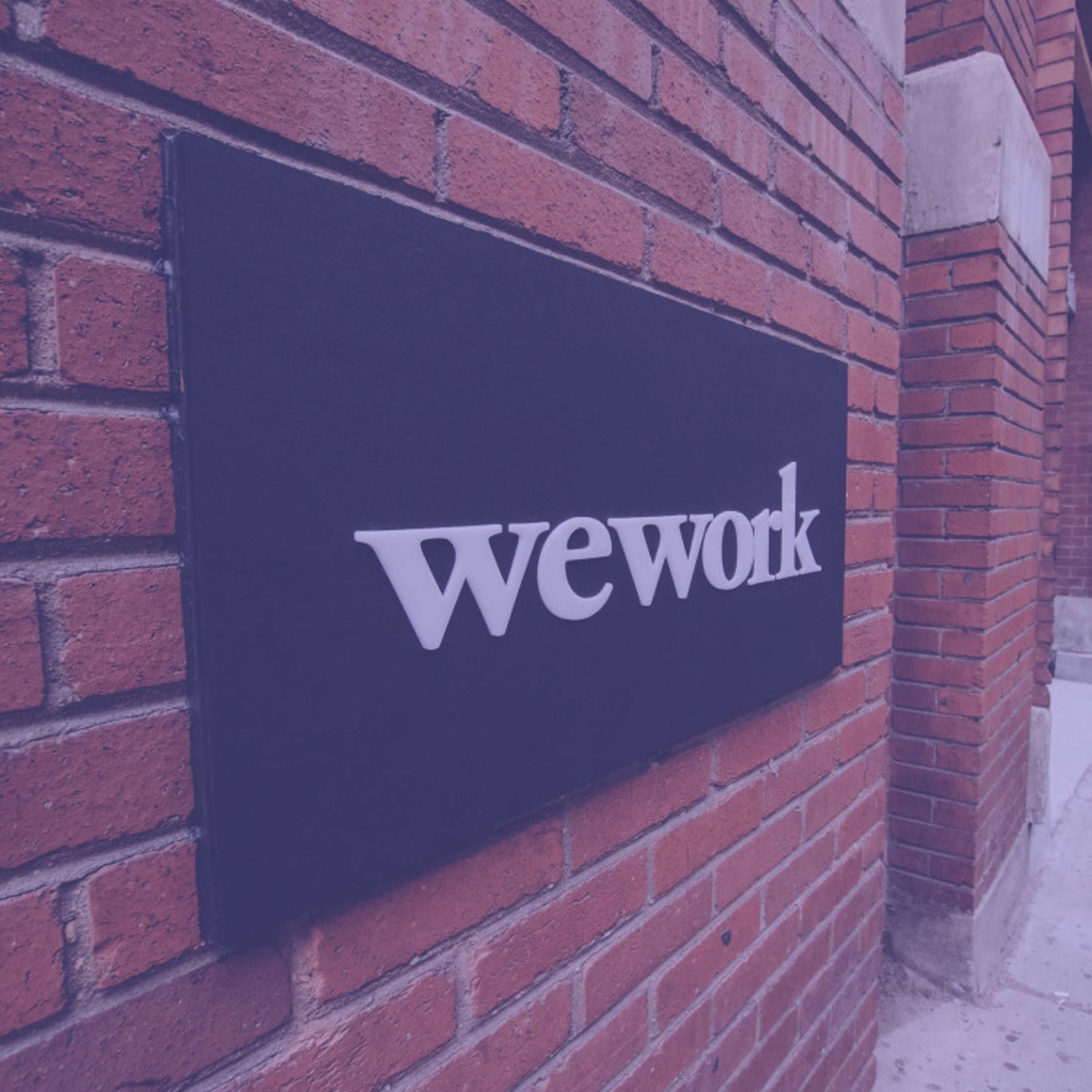 cover of episode #164: The Rise And Fall Of WeWork