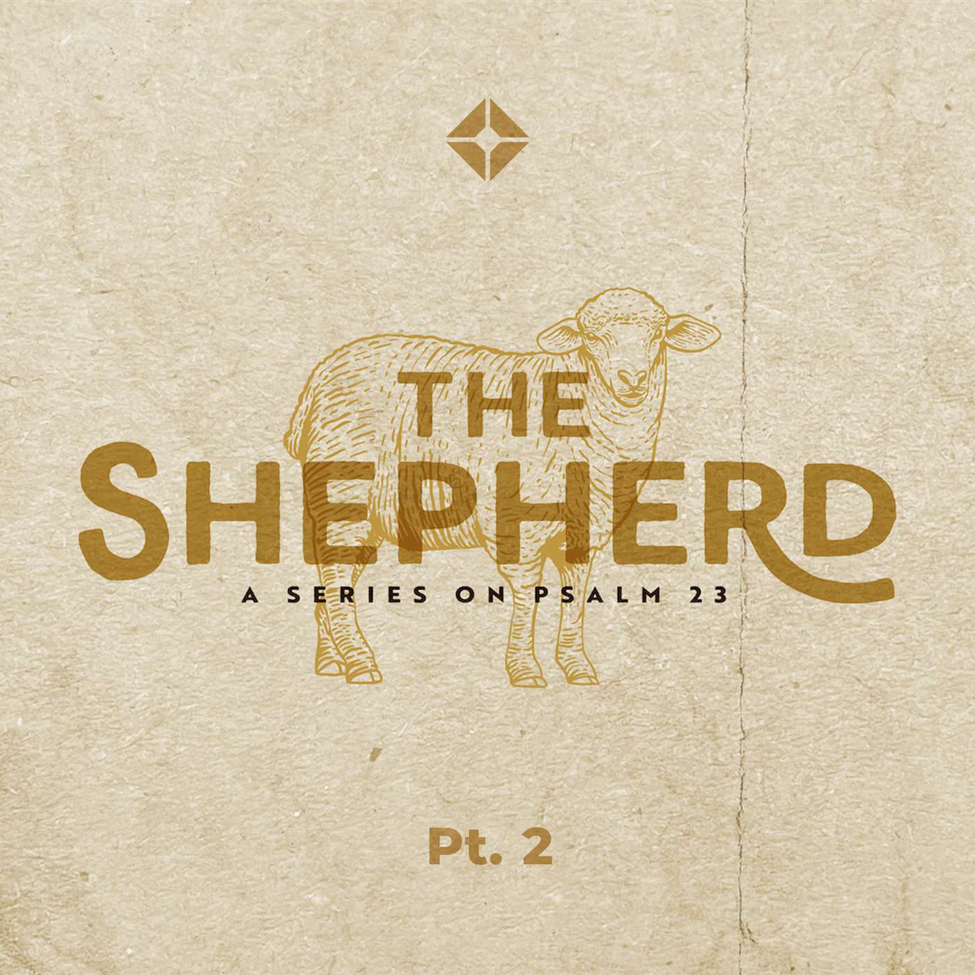 The Shepherd | Psalm 23:2 | Shawn Chandler