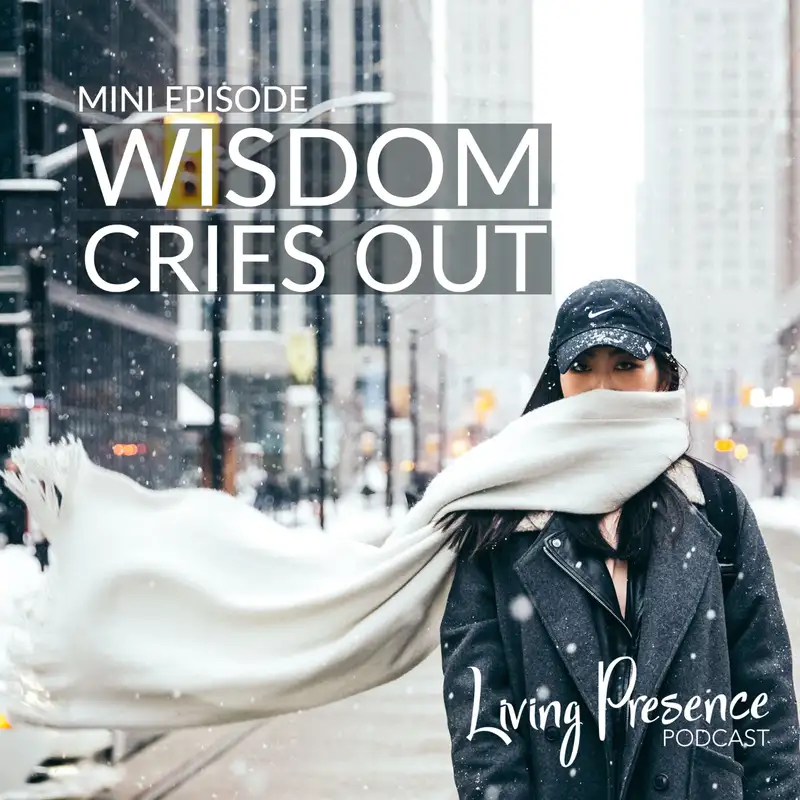 Mini Episode: Wisdom Cries Out