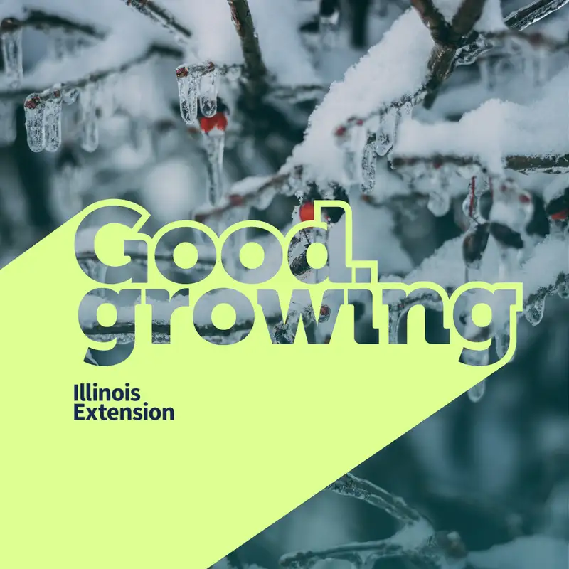 Ep. 161 Winter Weather and How to Protect Your Plants | #GoodGrowing