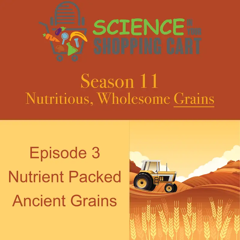 Season 11: Wholesome, Nutritious Grains | Episode 3: Nutrient Packed Ancient Grains