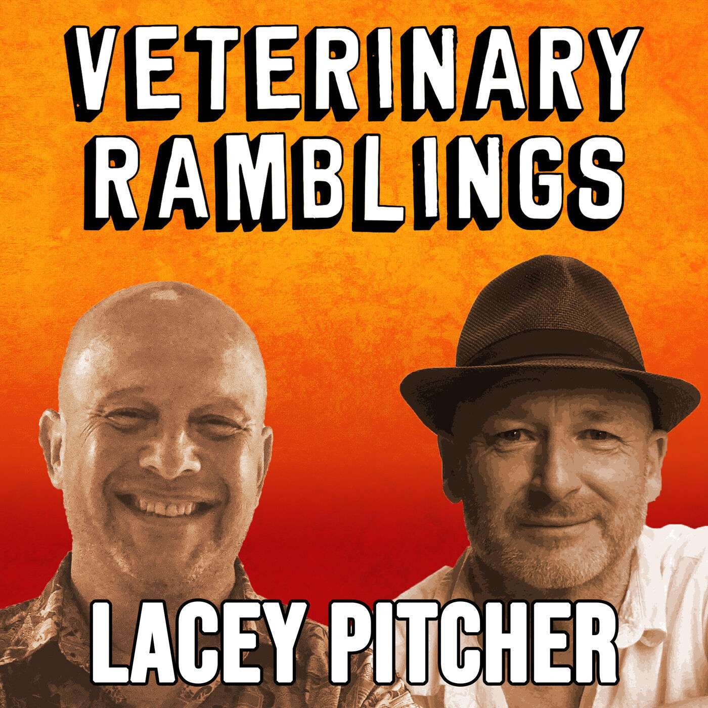 Ep 83: The Strength Of The Veterinary Community With Lacey Pitcher