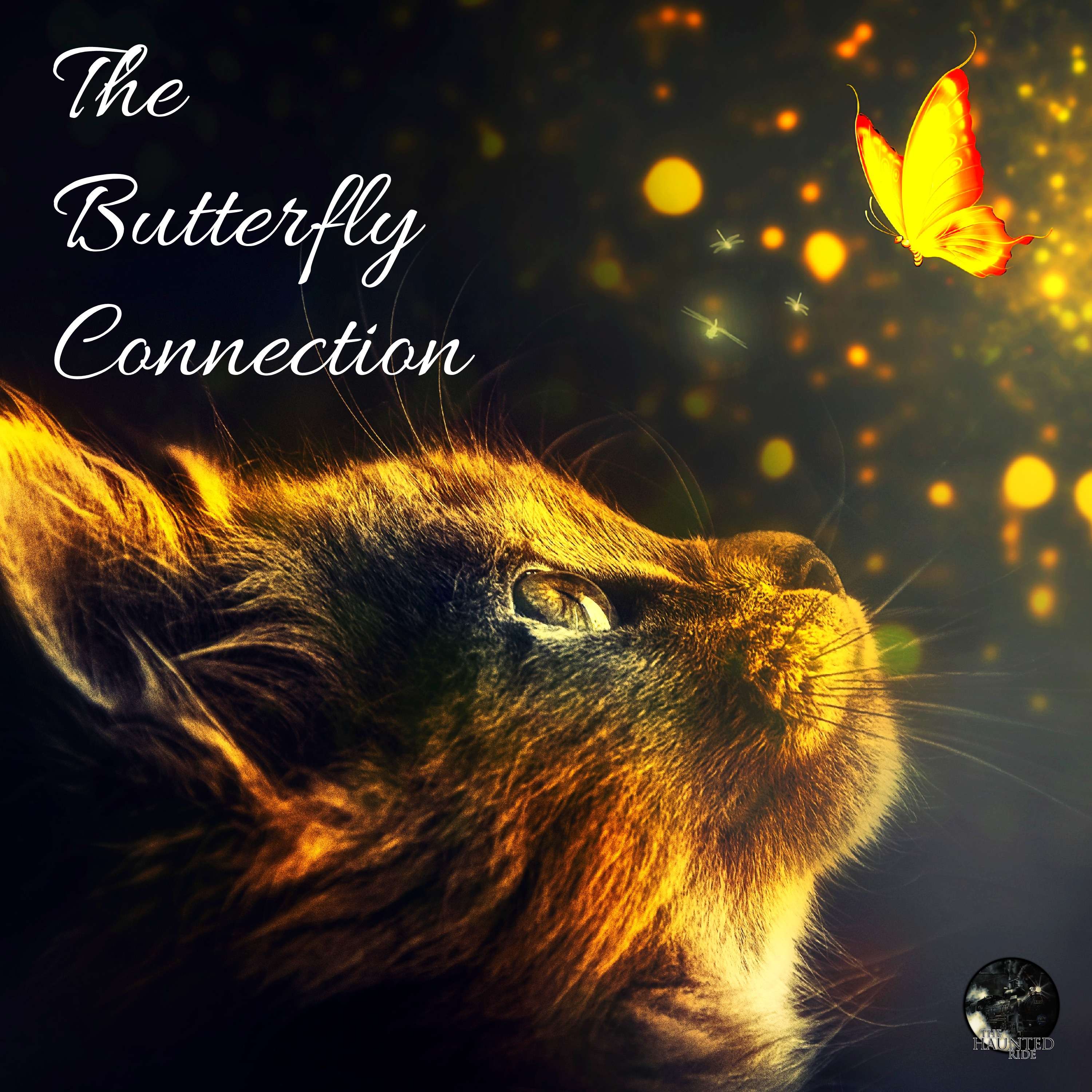 34: The Butterfly Connection