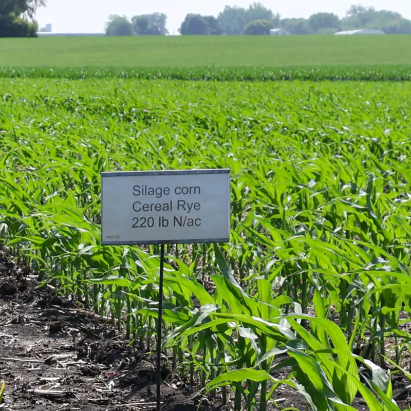 Conducting on-farm research: Four Midwest experts weigh in on design tips, planning and more