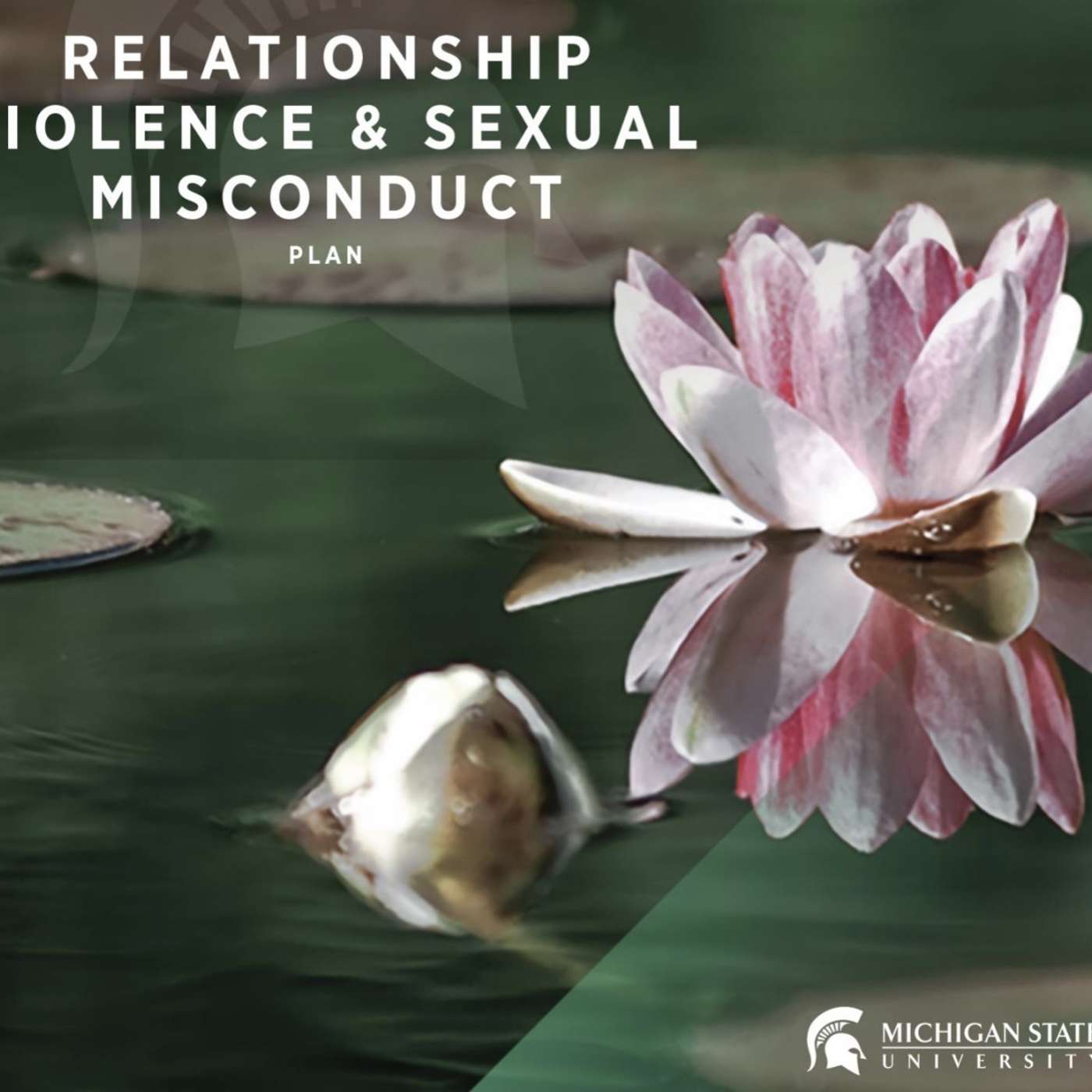 MSU releases strategic plan to address sexual assault prevention