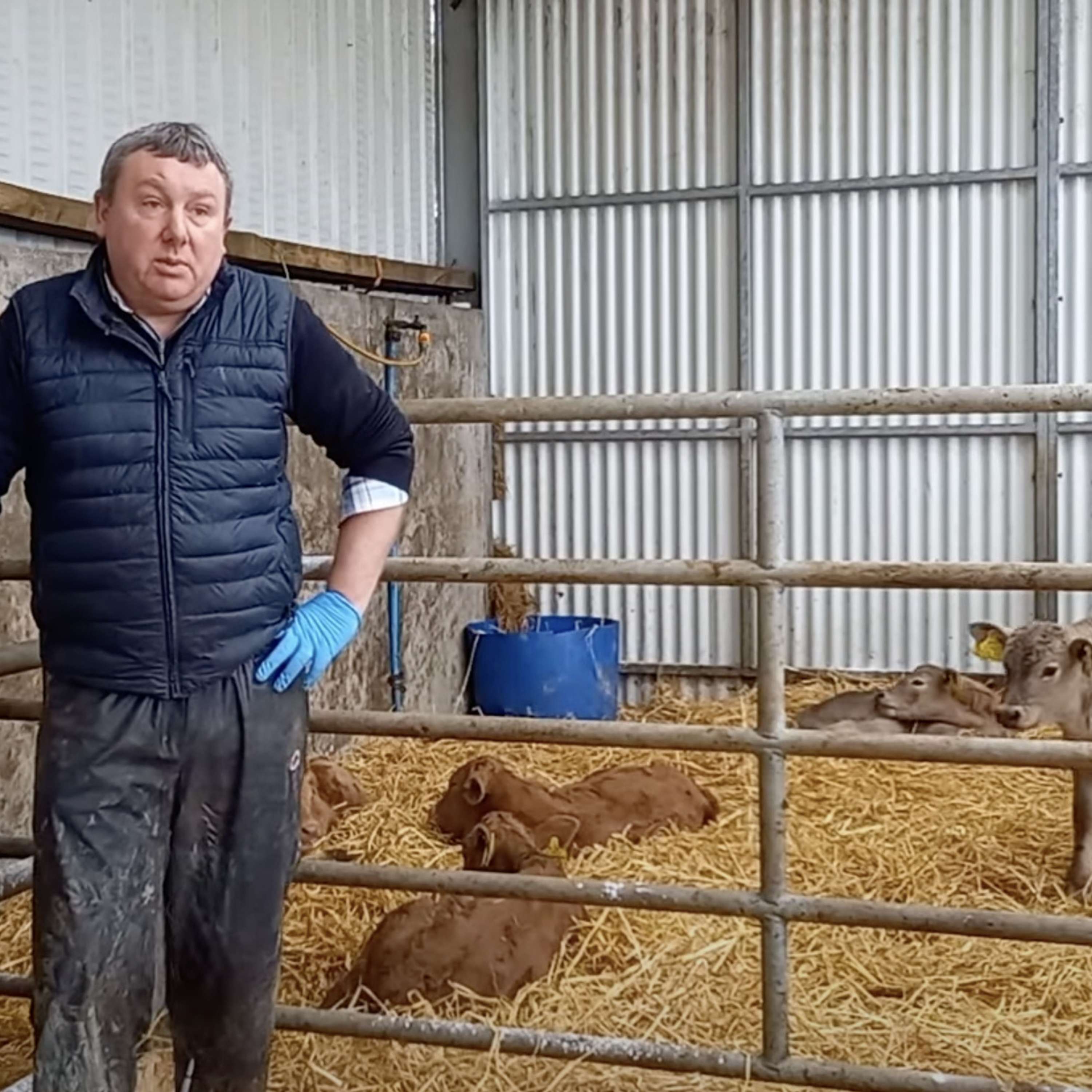 Shane Keaveney’s Breeding Season & Farm Update
