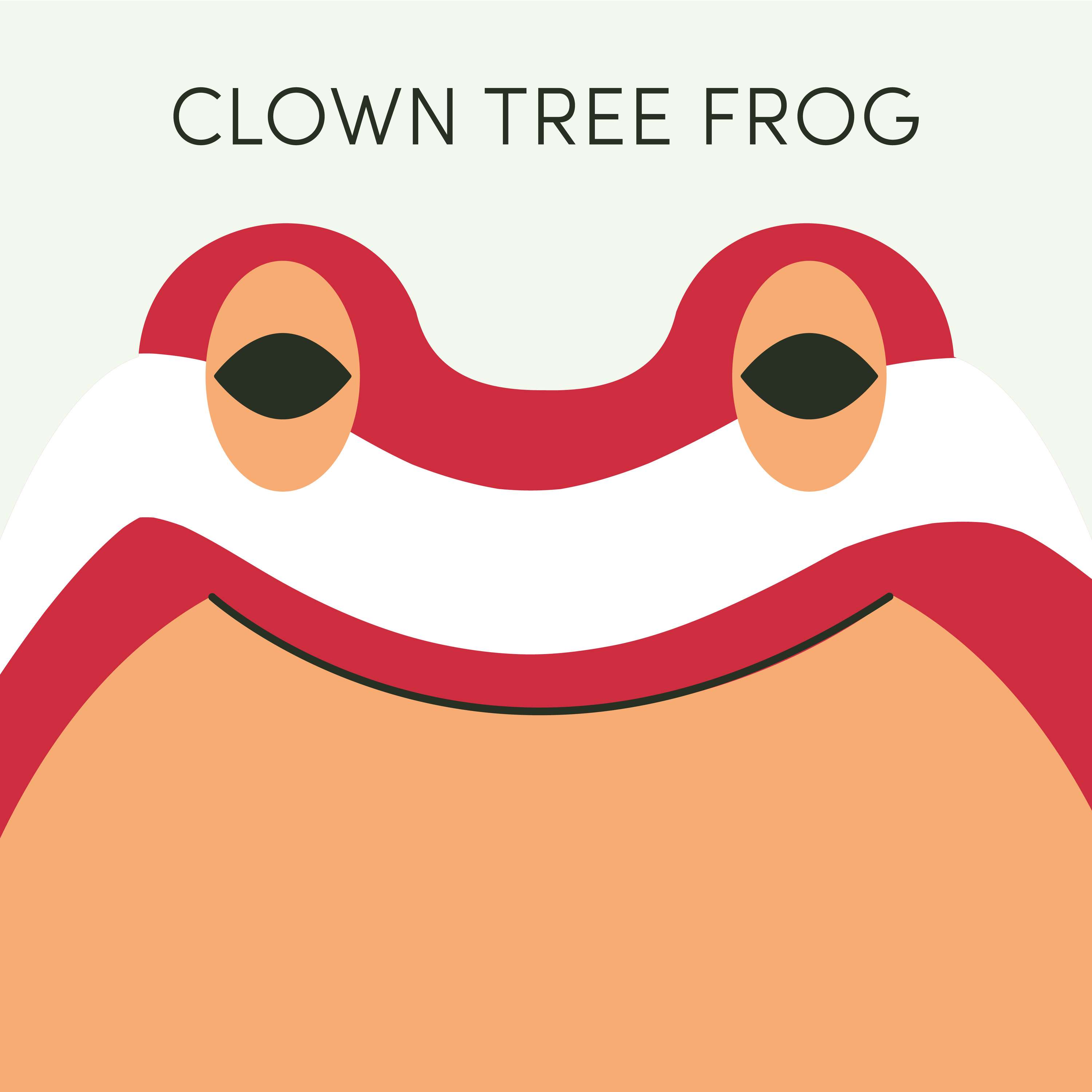 Clown Tree Frog | Week of August 7th