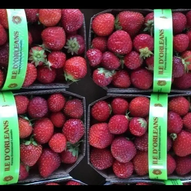 Laurence Tarini, vendeuse de fruits dans une ferme : «ces fruits là sont les meilleurs, mais ils sont surtout plus nutritifs»