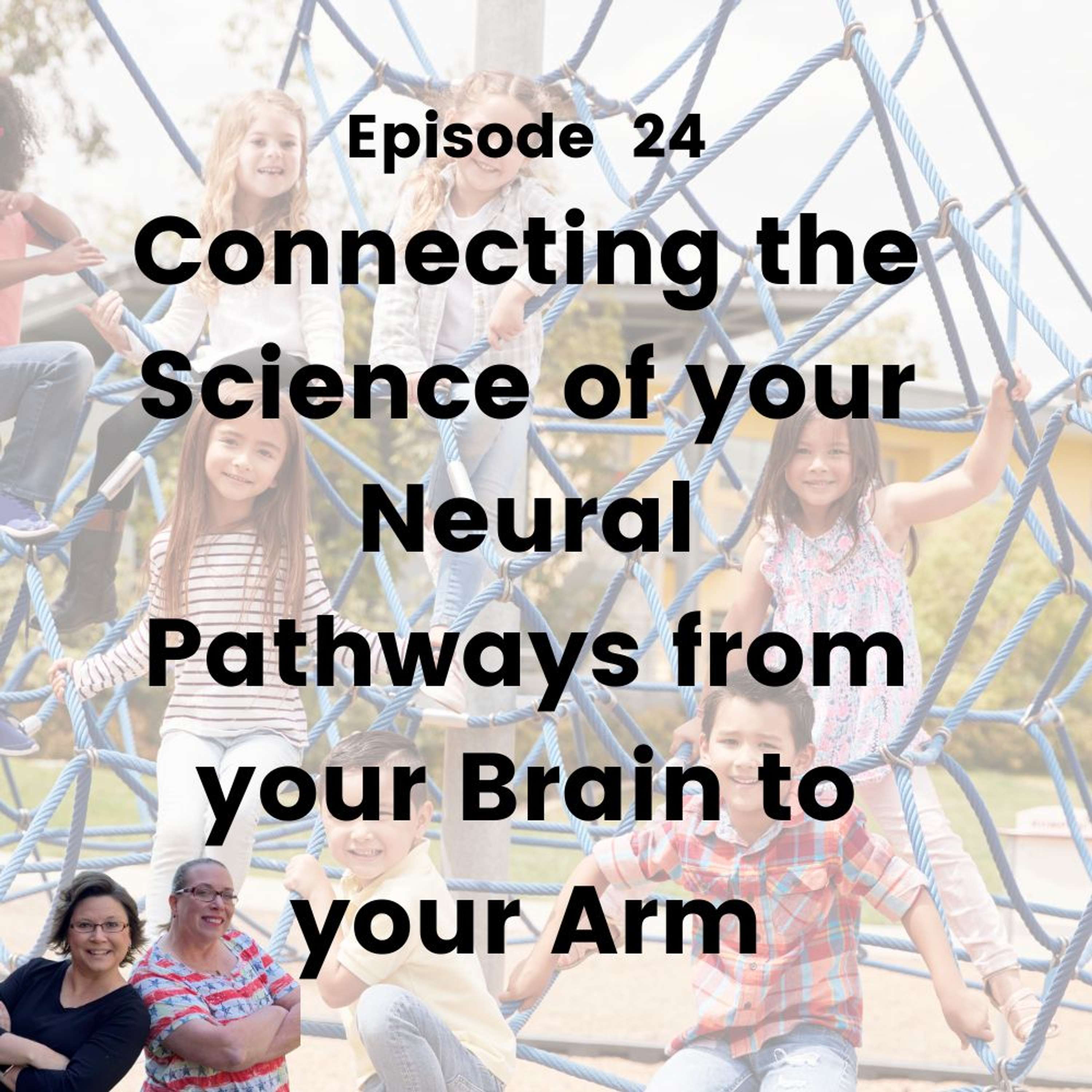 Connecting the Science of your Neural Pathways from your Brain to your Arm