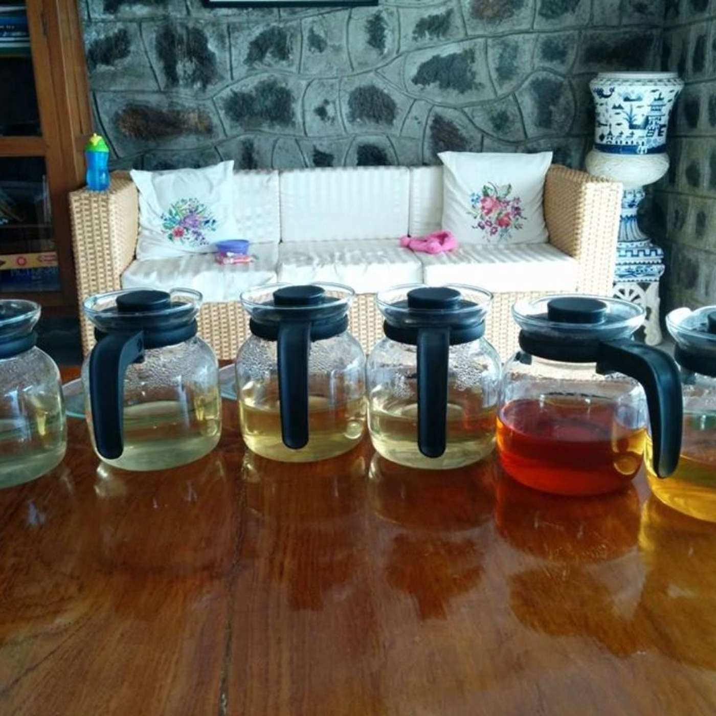 Nilgiris: Where Tea, Tribes, Trains, and the Wild Embrace the Clouds