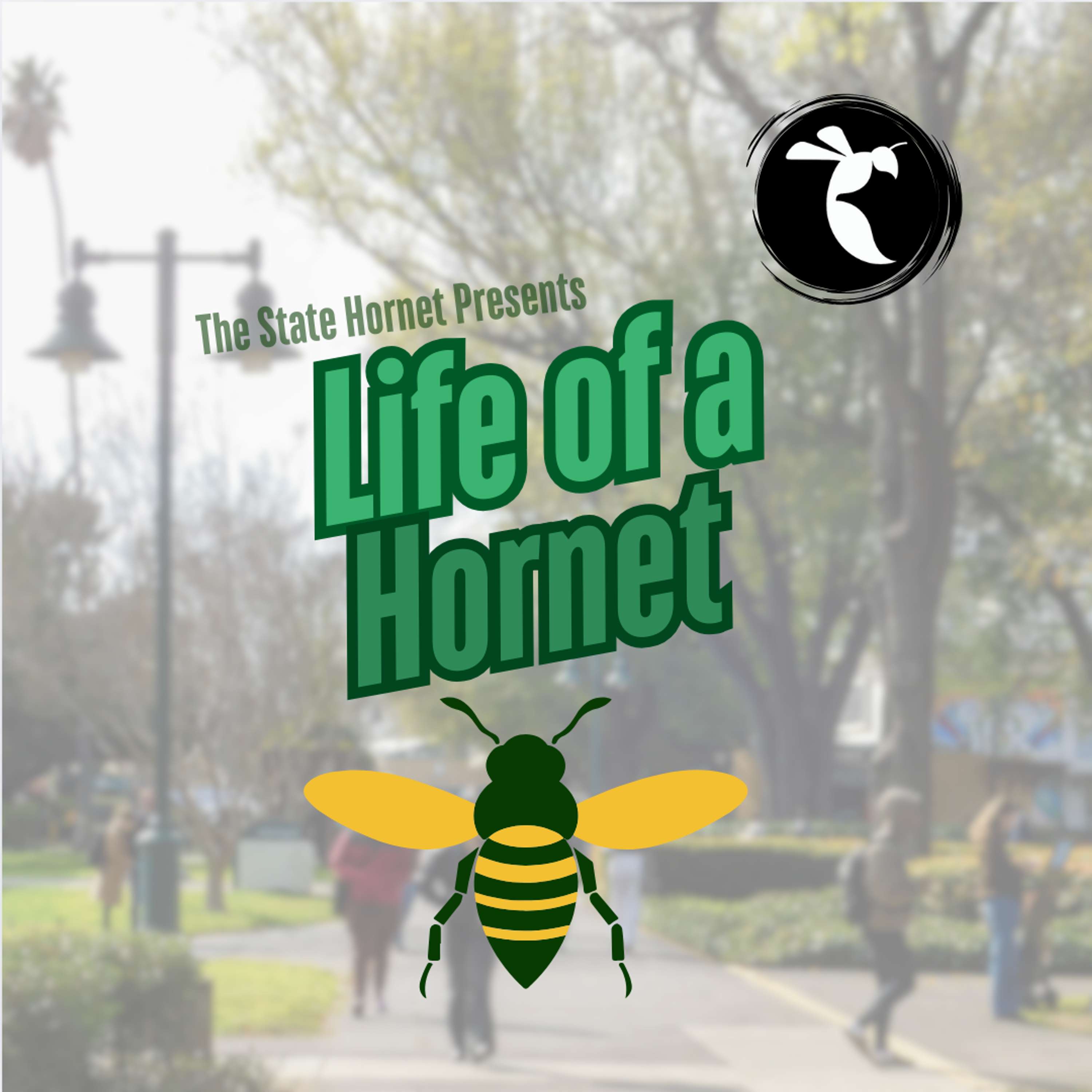 Life of a Hornet