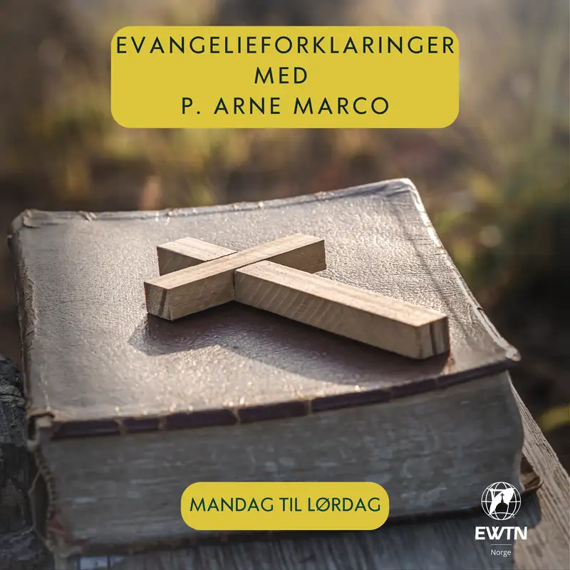 Evangelieforklaringer | 29. uke i det alminnelige kirkeår, onsdag
