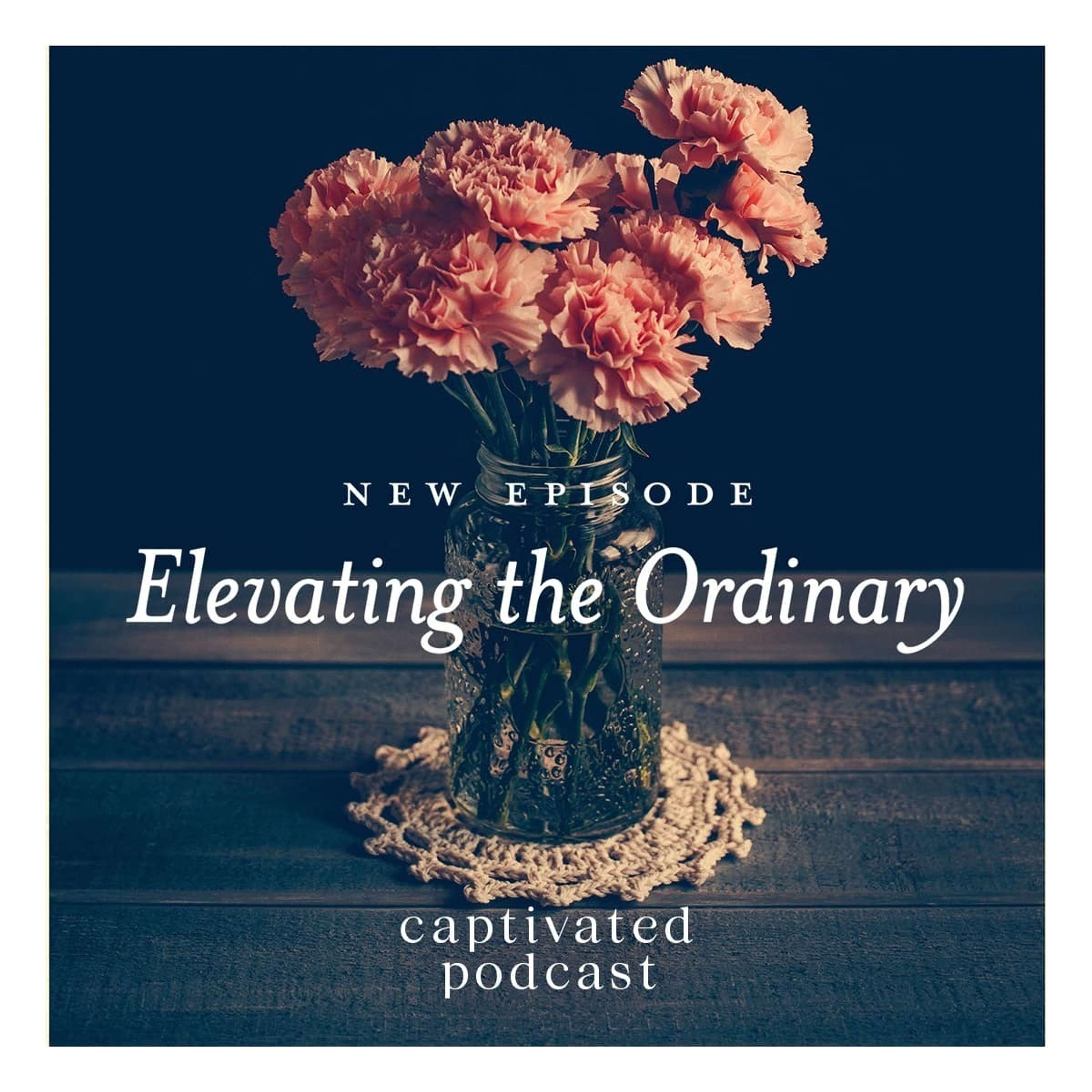Elevating the Ordinary