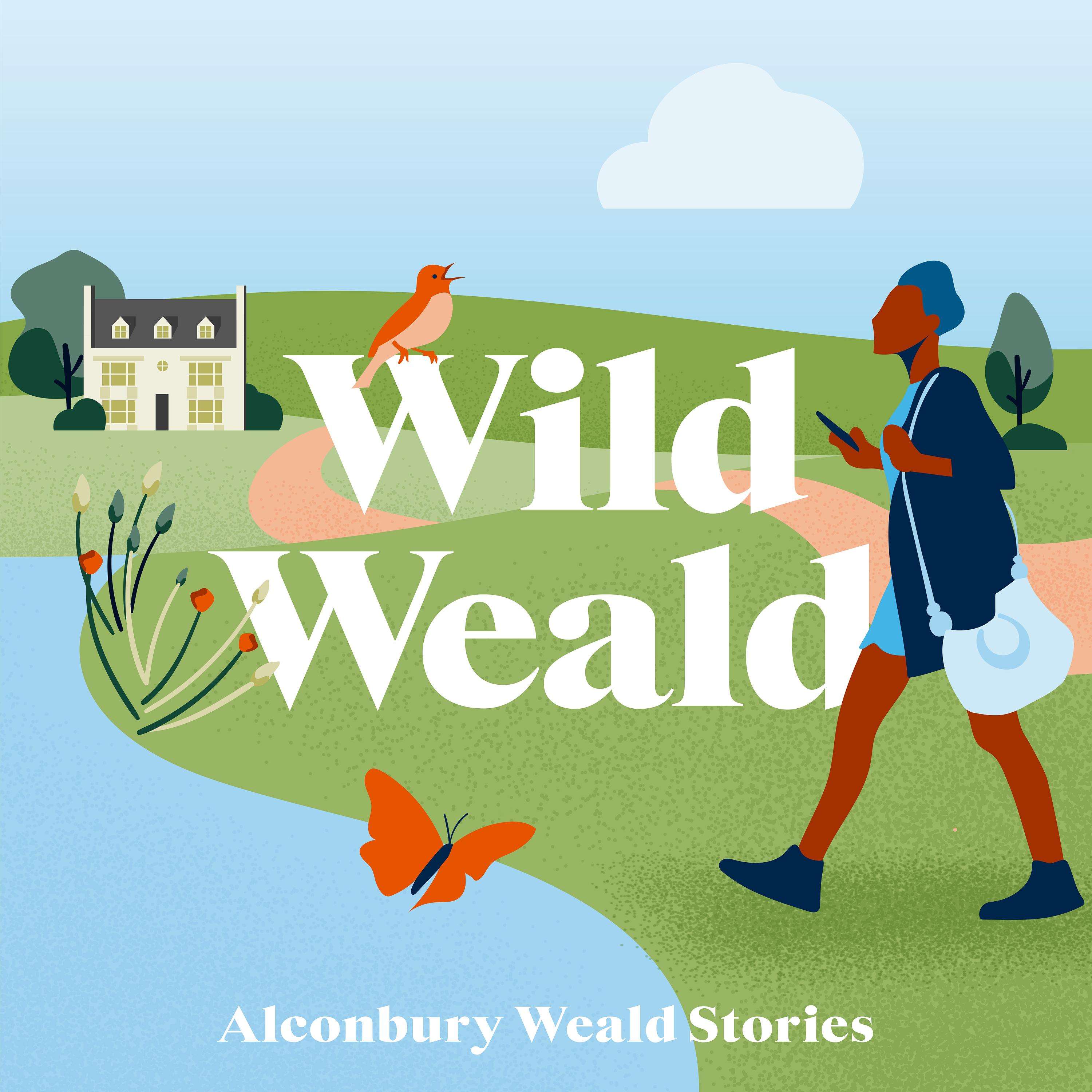 Wild Weald