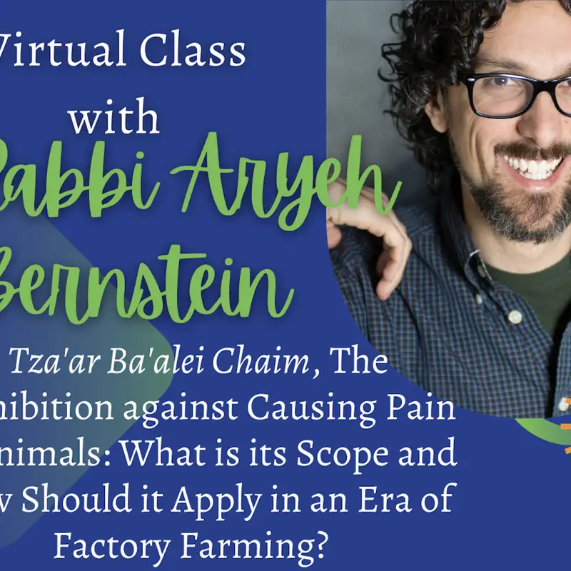 Tza'ar Ba'alei Chaim, The Prohibition Against Causing Pain To Animals with Rabbi Aryeh Bernstein