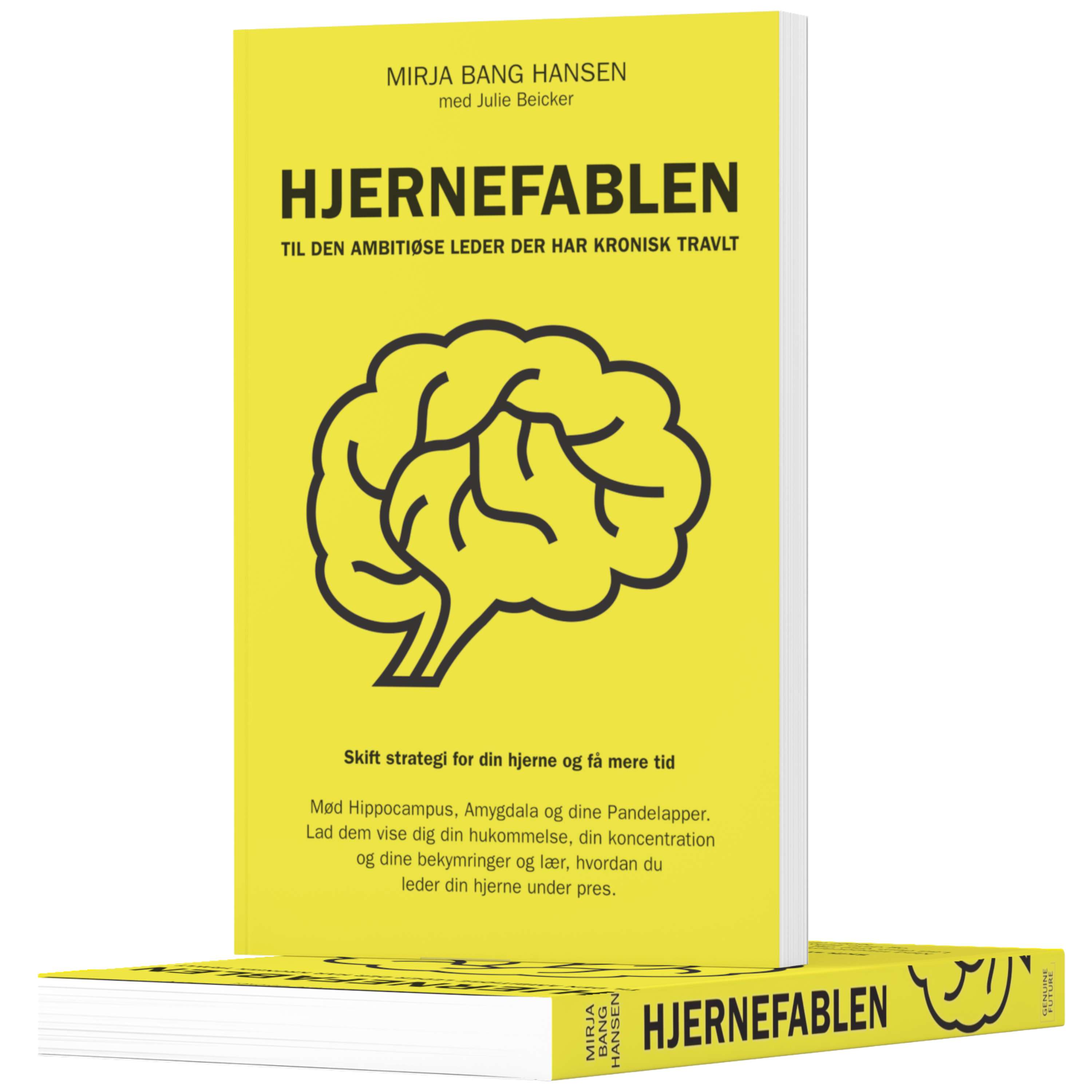 Basal viden om hjernen Basal viden om hjernen