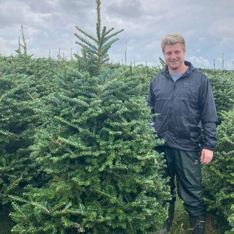 Mark Rofe 🎄