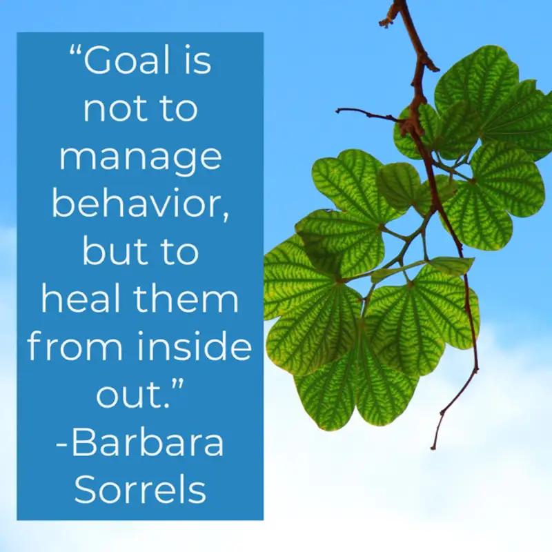 Behavior Speaks for Itself with Barbara Sorrels Transformative Principal 269