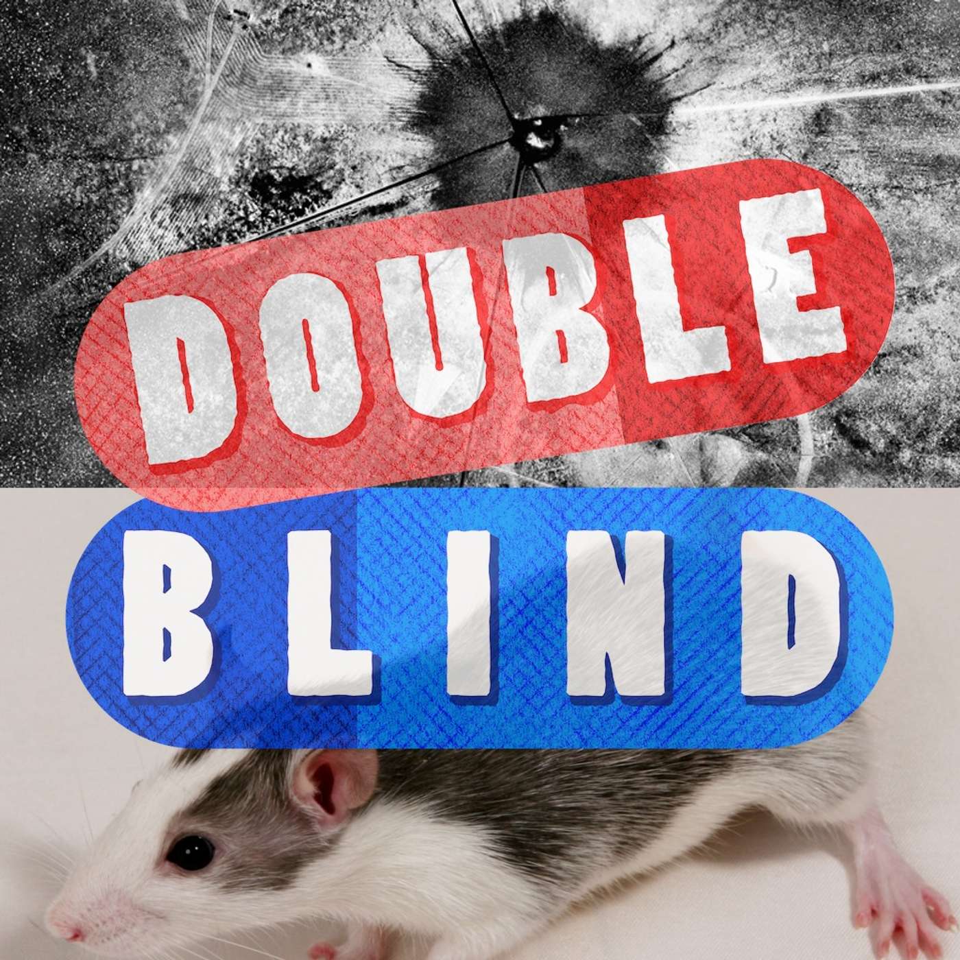 April 3rd - Atomic Boundaries And Reading Rodent Minds episode artwork