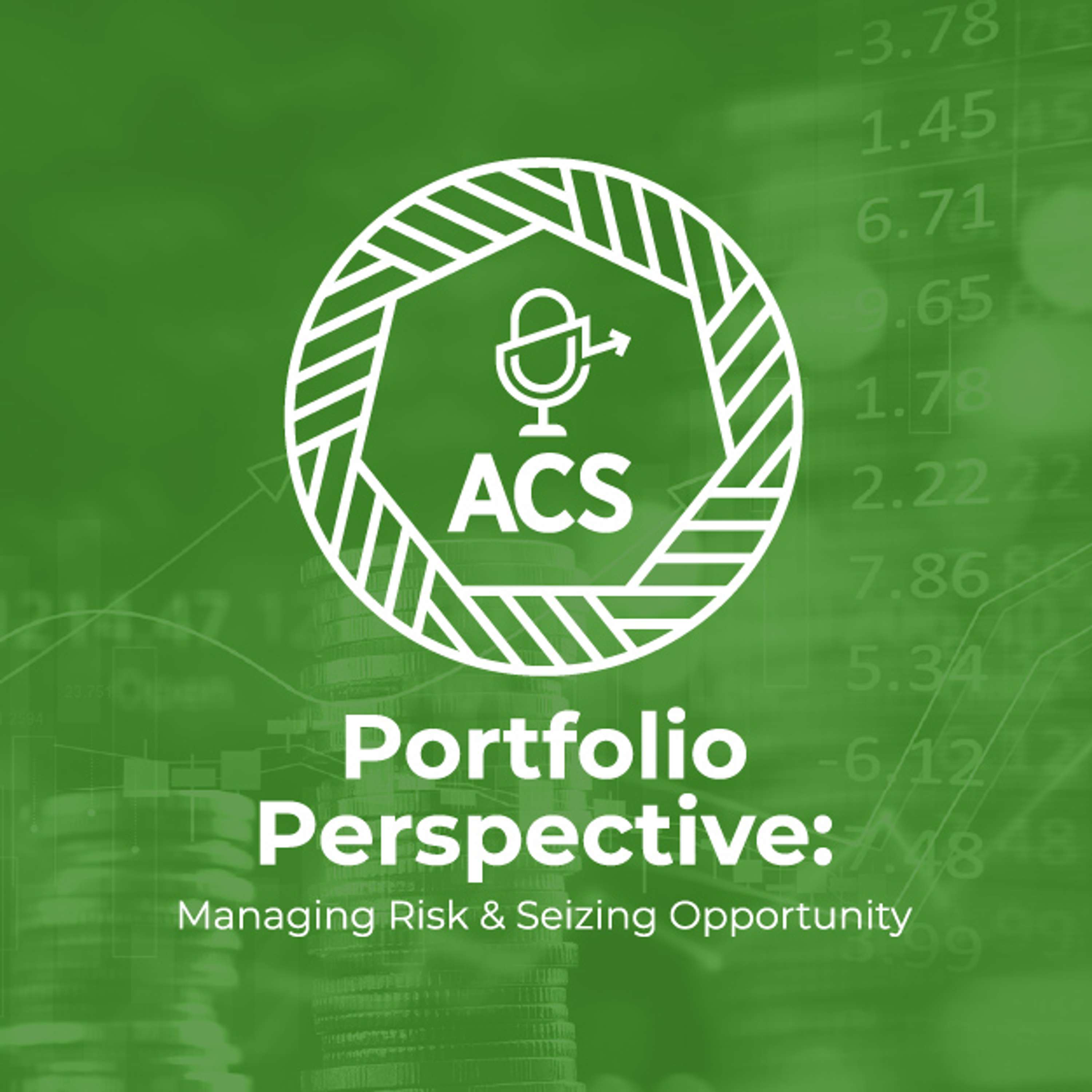 Portfolio Perspective: Managing Risk & Seizing Opportunity
