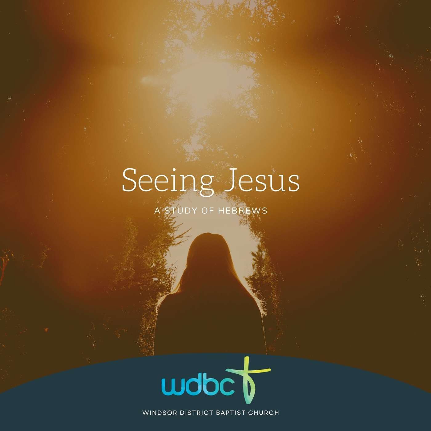 Seeing Jesus #08 | Our Perfect Sacrifice
