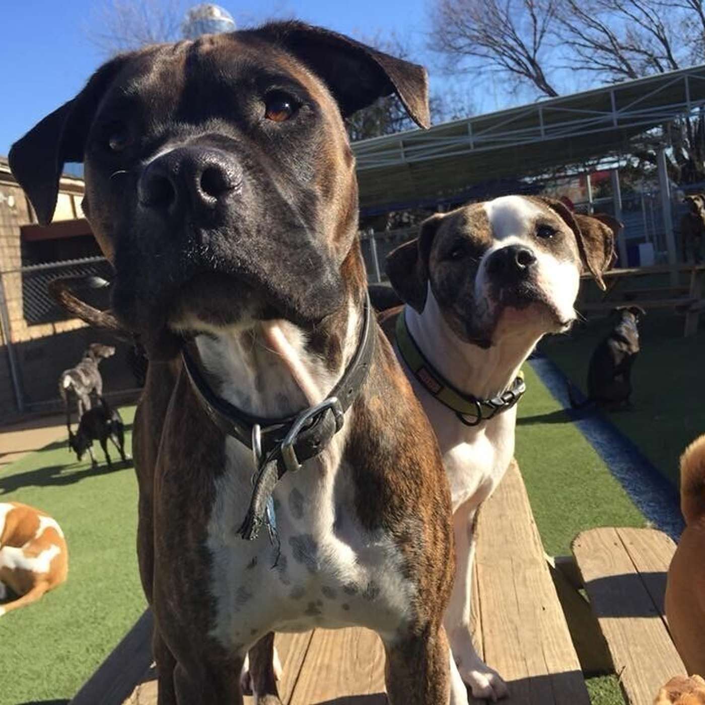 How Can We Be Friends?