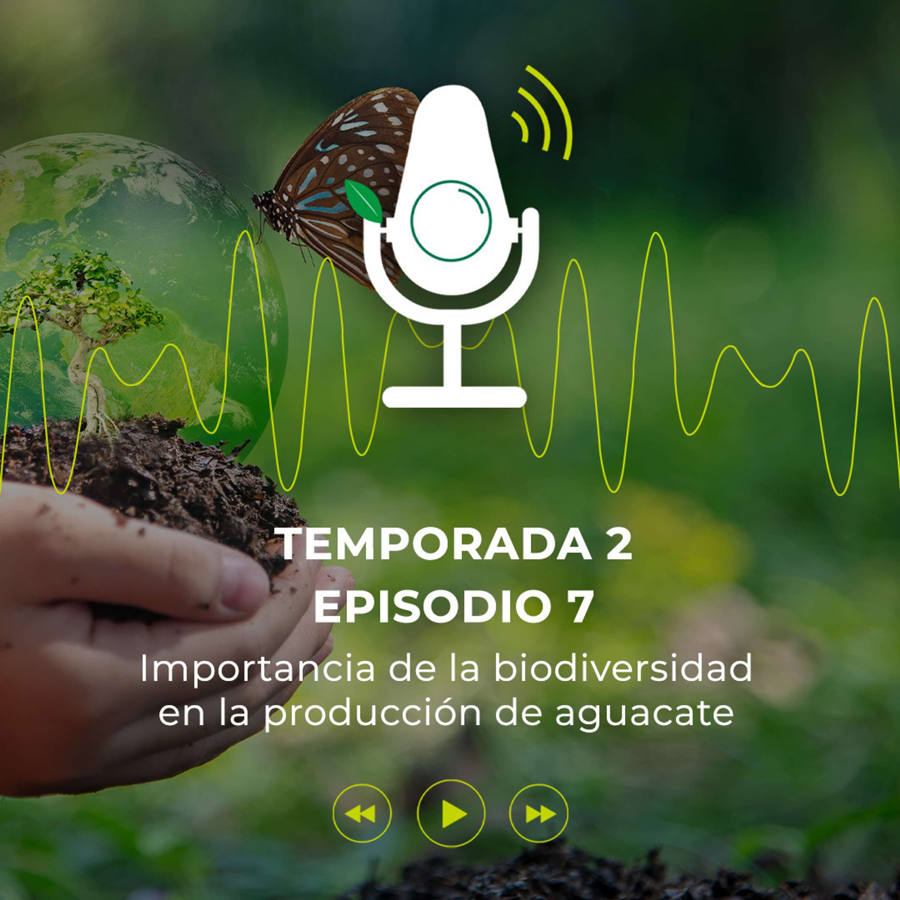 Avo Sostenible
