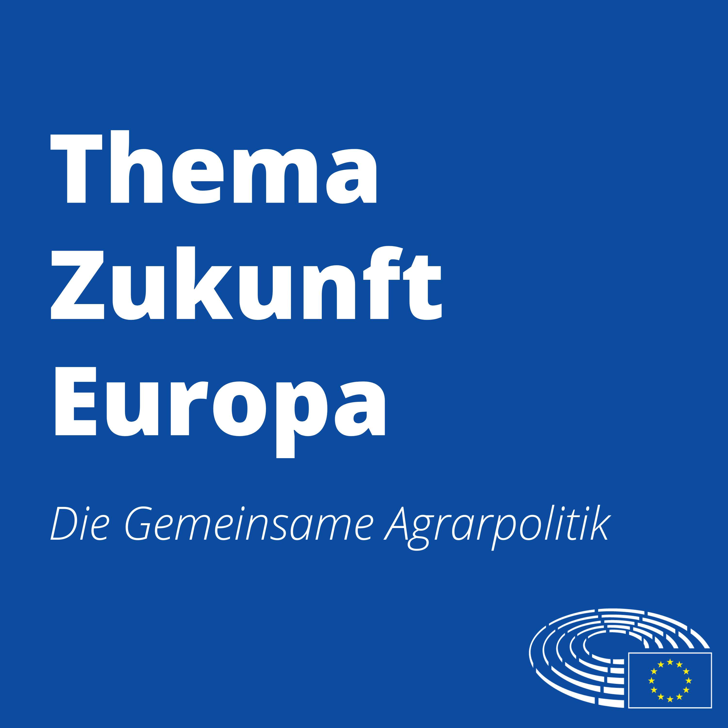 Thema Zukunft Europa